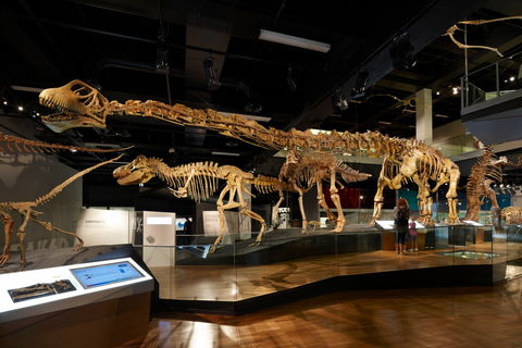 Melbourne Museum - Accommodation Burleigh 1