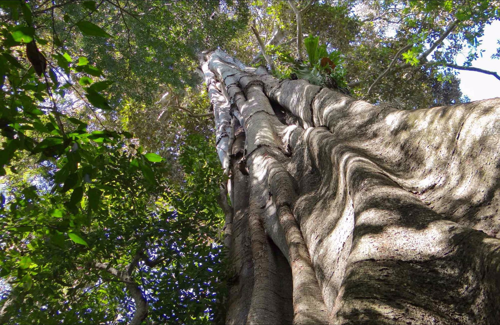 Northern Rivers And Tropical Nsw NSW Accommodation Burleigh