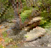 Mount Olive Trail - Accommodation Burleigh