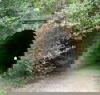 Mushroom Tunnel - Accommodation Burleigh