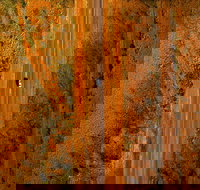 Newcastle Waters - Accommodation Burleigh