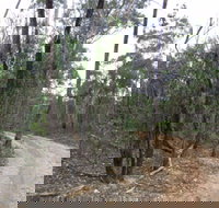 Paddys Ranges State Park - Accommodation Burleigh