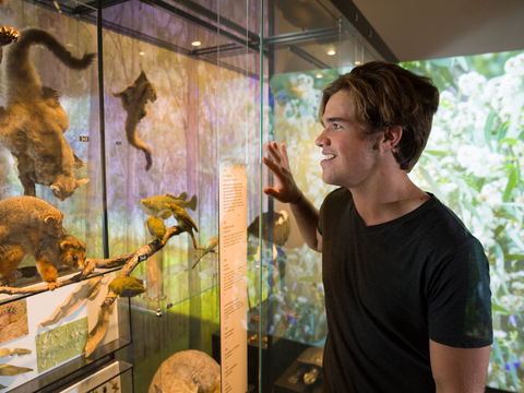 Queensland Museum - Accommodation Burleigh 0