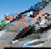 Sapphire - Accommodation Burleigh