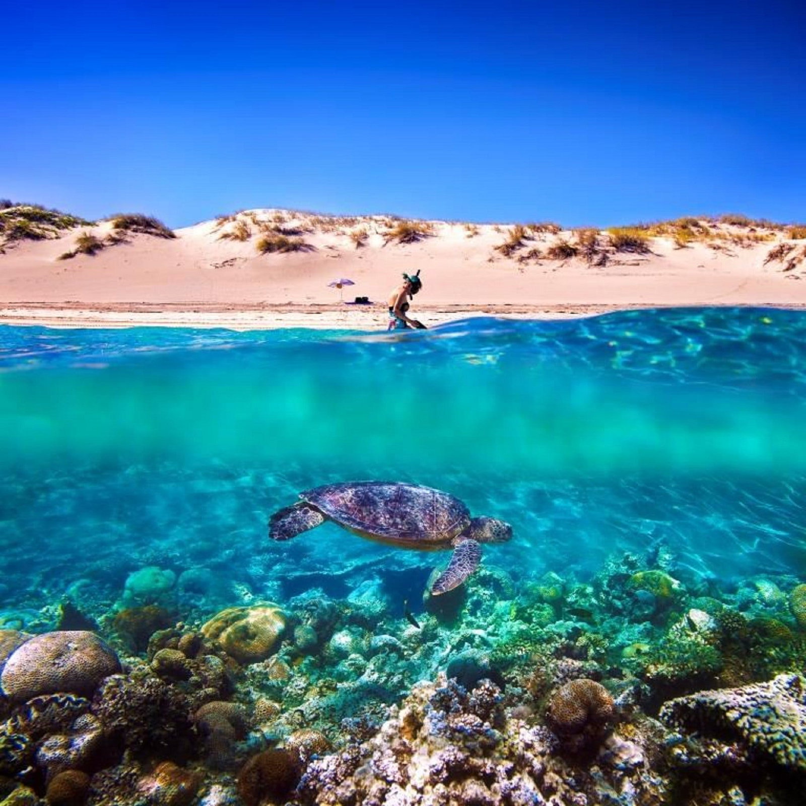 Cape Range National Park WA Accommodation Burleigh
