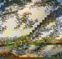 Sturt Gorge Recreation Park - Accommodation Burleigh