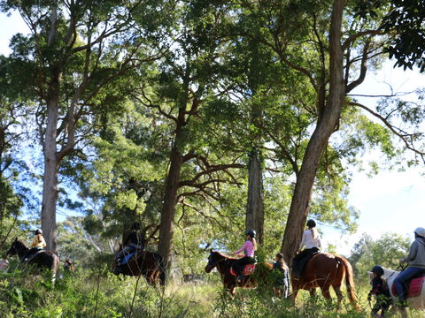 The Outlook Riding Academy - Accommodation Burleigh 0