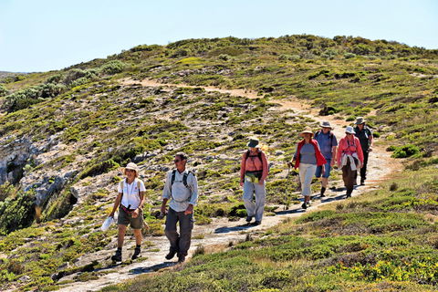 The Sole Walk At Hillocks Drive - Accommodation Burleigh 0