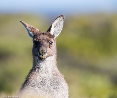 The Sole Walk At Hillocks Drive - Accommodation Burleigh 1