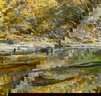 Warrabah National Park - Accommodation Burleigh