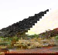 Whyalla Conservation Park - Accommodation Burleigh