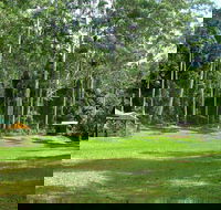 Woolgoolga Creek Picnic Area - Accommodation Burleigh