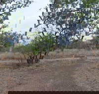 Alexander Forest Memorial - Accommodation Burleigh