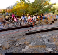 Australian Age of Dinosaurs - Accommodation Burleigh