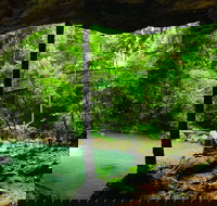 Buderim - Accommodation Burleigh