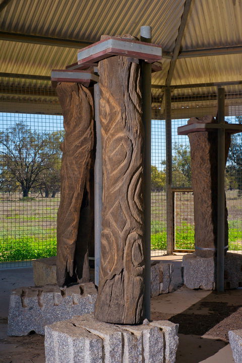 Collymongle Carved Trees - Accommodation Burleigh 1