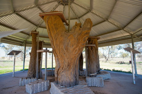 Collymongle Carved Trees - Accommodation Burleigh 2