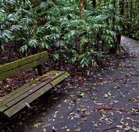 Coombadjha Nature Stroll - Accommodation Burleigh