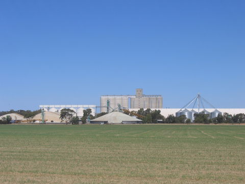 Co-operative Bulk Handling (CBH) Wheat Storage And Transfer Depot - Accommodation Burleigh 1