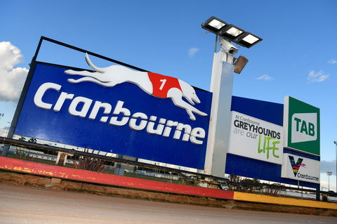 Cranbourne Greyhound Racing Club - Accommodation Burleigh 0