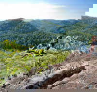 Dubbo Gully Loop Trail - Accommodation Burleigh