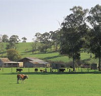Echunga - Accommodation Burleigh