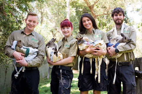 Featherdale Wildlife Park - Accommodation Burleigh 0