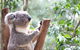 Featherdale Wildlife Park - thumb 1