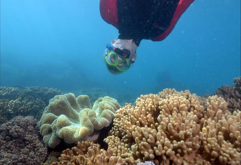 Geoffrey Bay Snorkel Trail - Accommodation Burleigh 0