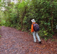 Gibraltar-Washpool World Heritage Walk - Accommodation Burleigh