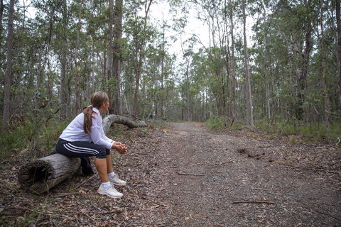 Ironbark Ridge And Spotted Gum Walking Trails - Accommodation Burleigh 1