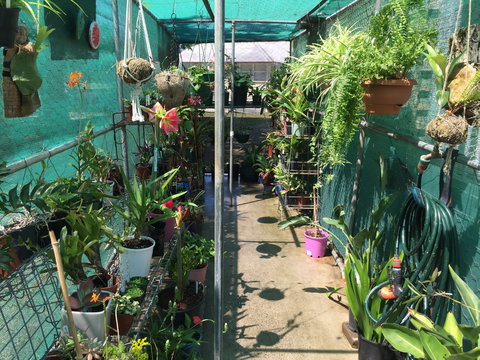 Kilcoy Craft Market - Accommodation Burleigh 1