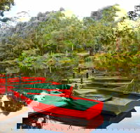 Lane Cove National Park - Accommodation Burleigh