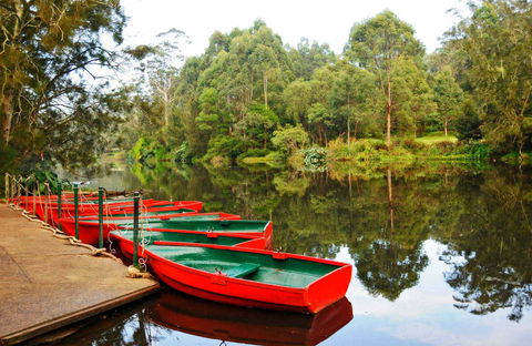 Lane Cove National Park - Accommodation Burleigh 0