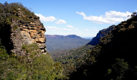Leura Cascades - Accommodation Burleigh 1