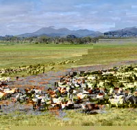 Marlborough - Accommodation Burleigh