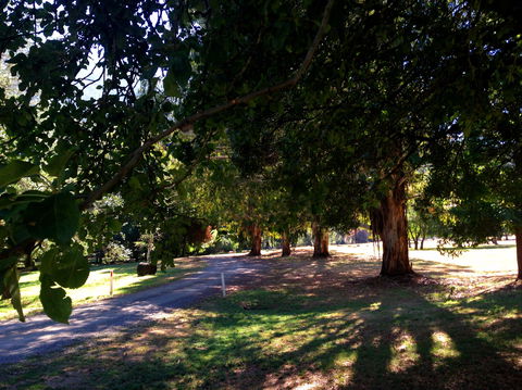 Mirimbah Park - Accommodation Burleigh 0