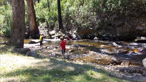 Mirimbah Park - Accommodation Burleigh 1