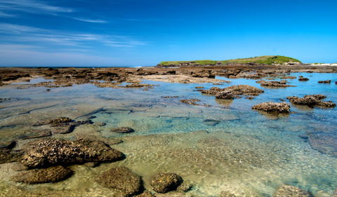 Moonee Beach Trail - Accommodation Burleigh 0