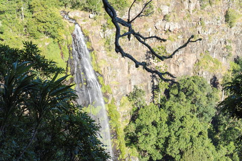 Morans Falls Track, Lamington National Park - Accommodation Burleigh 0