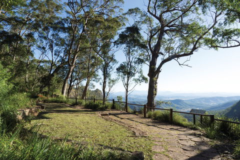 Morans Falls Track, Lamington National Park - Accommodation Burleigh 1