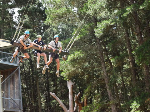 Mount Lofty Adventure Hub - Accommodation Burleigh 1