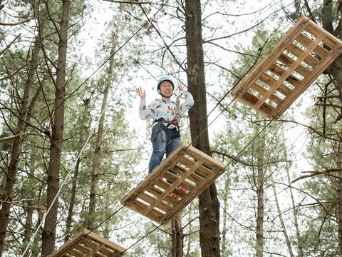 Mount Lofty Adventure Hub - Accommodation Burleigh 2