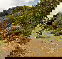 Mountain Biking Trails - Accommodation Burleigh