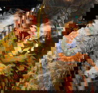 Oakey - Accommodation Burleigh