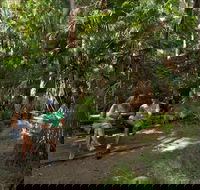 Palms picnic area - Accommodation Burleigh