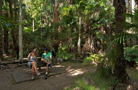Palms Picnic Area - Accommodation Burleigh 0