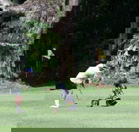 Teven Valley Golf Course - Accommodation Burleigh
