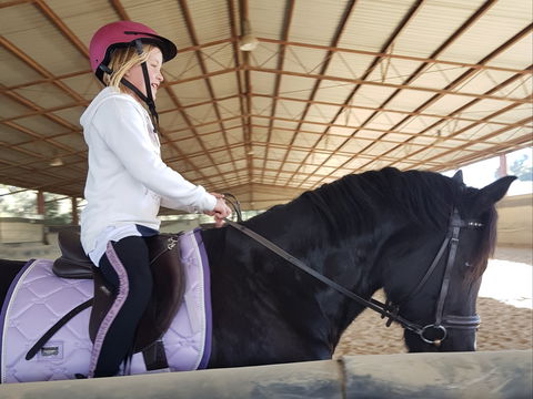 The Equine Club - Accommodation Burleigh 1