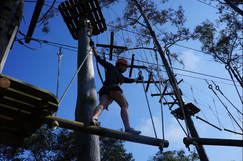 Trees Adventure Nowra Park - Accommodation Burleigh 0